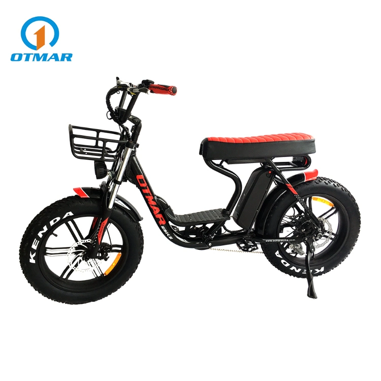 Retro Dirt E Bike Rear Drive 750W Motorcycle Adult Electric Fat Bike