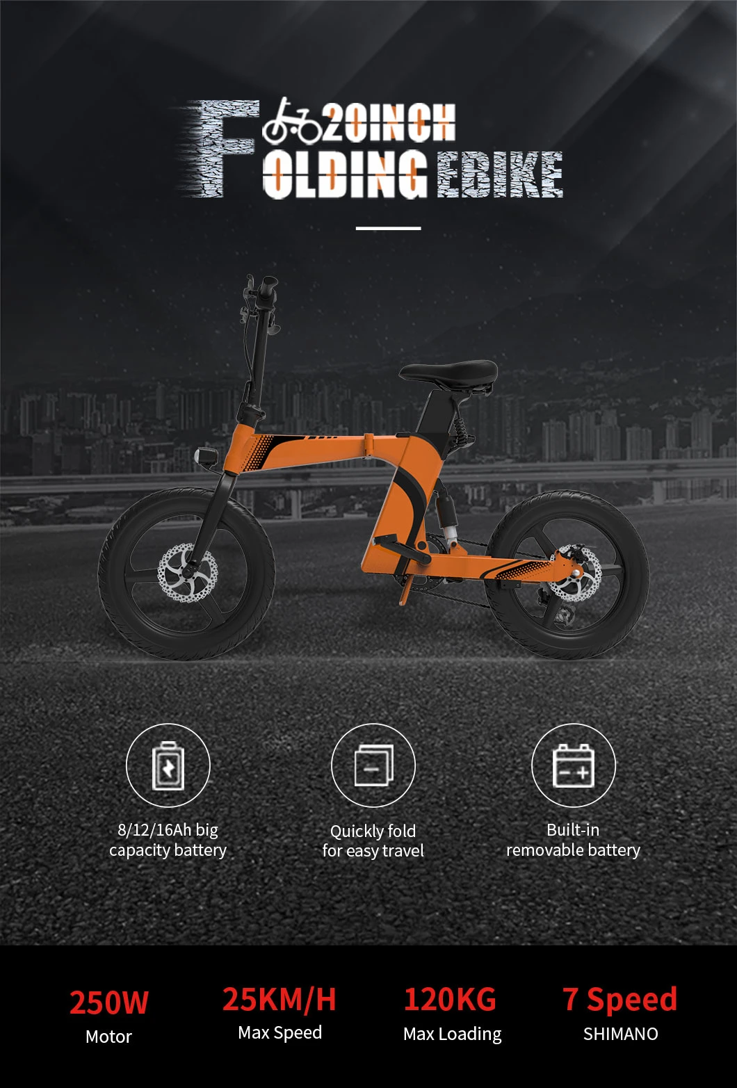 ODM/OEM for Women/Men 16ah Electric Bike Electric Folding Bike