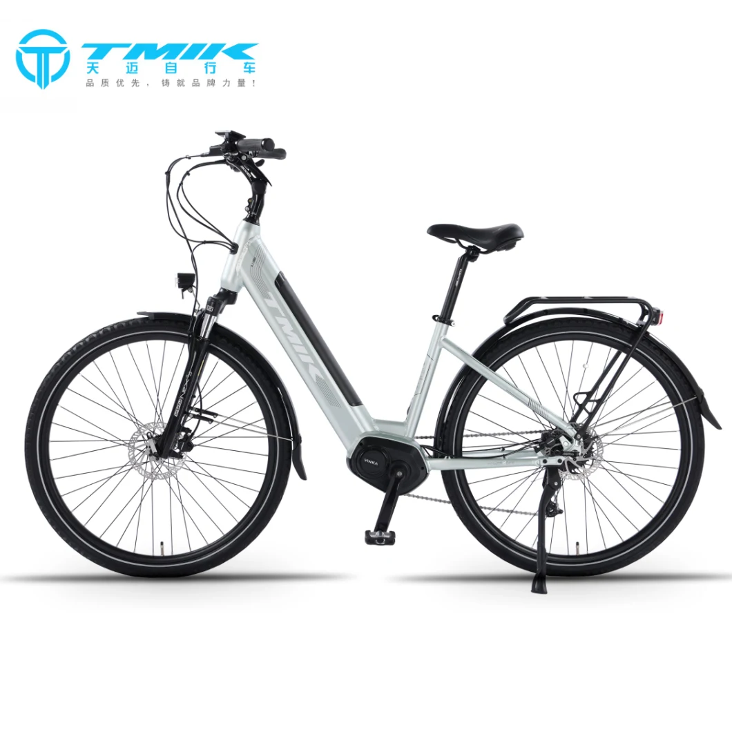 Mic Wholesaler City Women Aluminum Alloy 700c*50c E-Bike Electric Bicycle 36V or 48V 250W or 750W Fat Tire Electric Bike