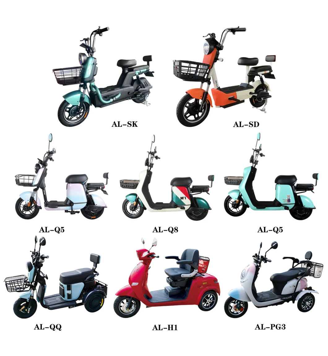 Electric Bicycle 350W 500W 600W 800W E-Bicycle