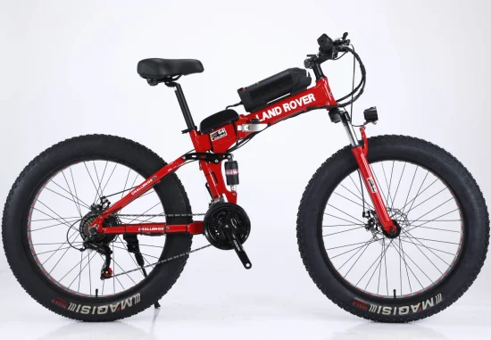 5% de réduction 36V08ah 350W Vintage Retro Foloding Fat Tire Bike City Super Fat Tire Vélo électrique Pliable E-Bike