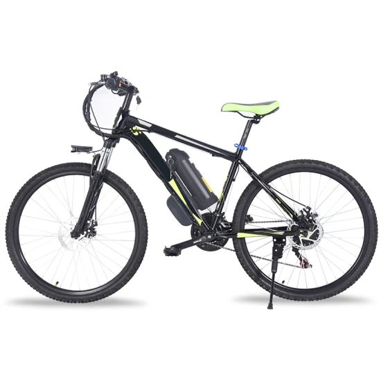 Vente chaude Vélo Électrique Portable Vélo Électrique Pliant Vélo Électrique Adulte Vélo De Ville 350W