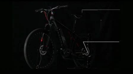 Vélo de montagne électrique Jobo hors route avec système Ultra 1000W Jb-Tda33L