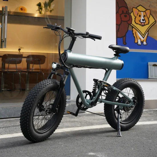 Fabricant nouveau design Fat Tire Ebike avec 10ah 48V 500W E-Bike